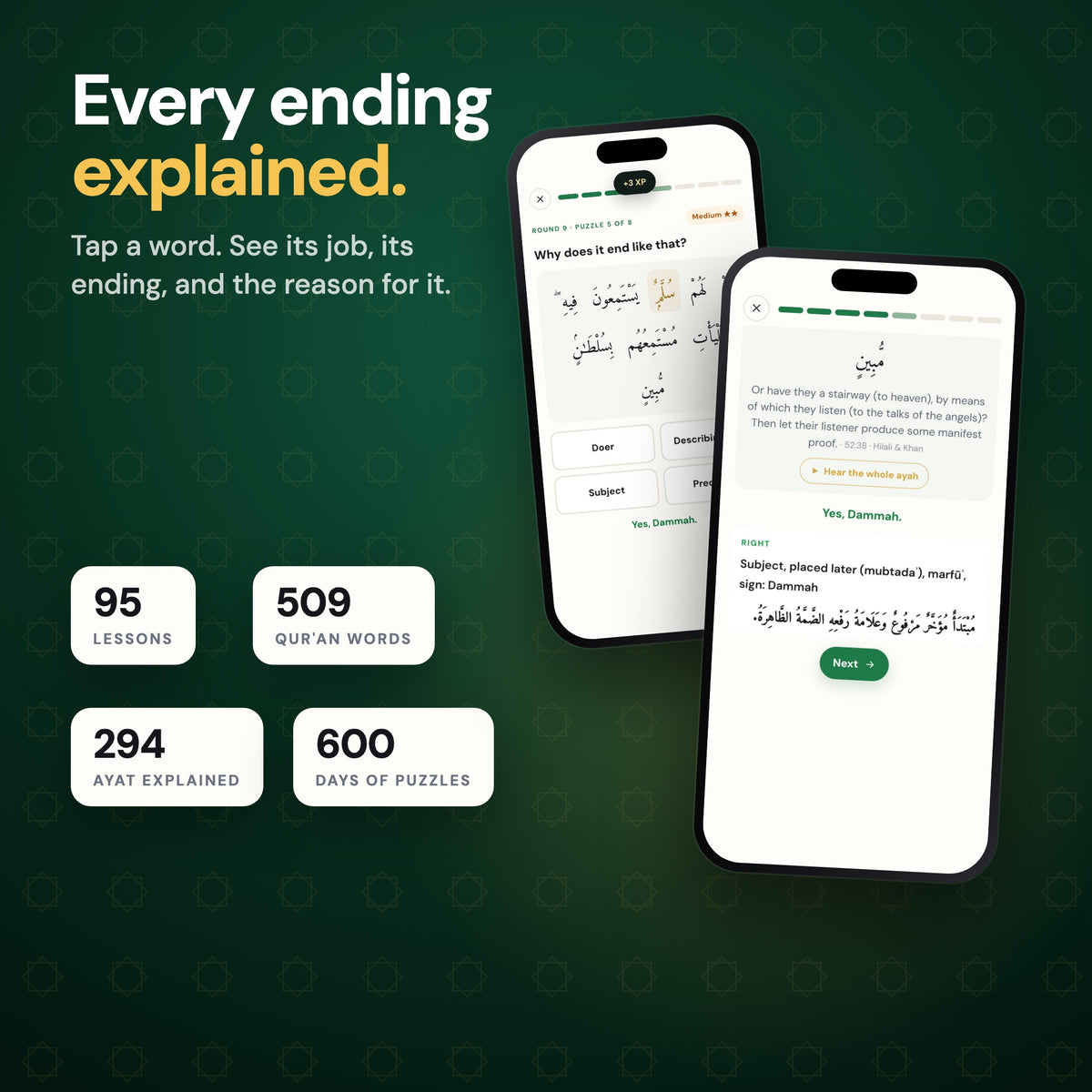 Every ending explained: tap a word to see its job, its ending and the reason