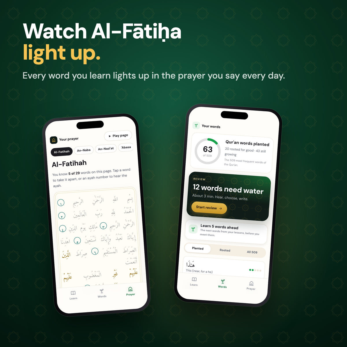 Watch Al-Fatiha light up as you learn each word
